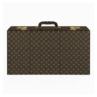 300 Chips 45mm Cases